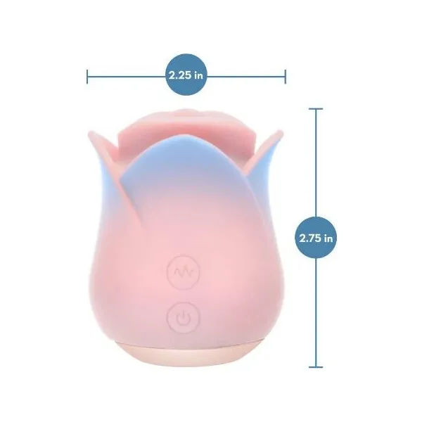 Blush-Collection-Kissing-Rose-Pink