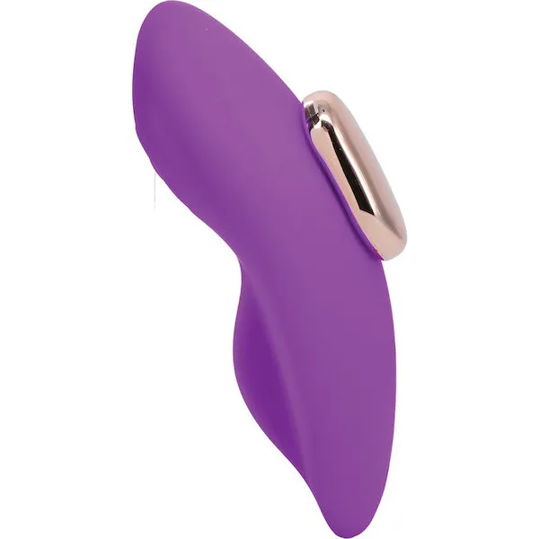 In A Bag Panty Vibe w/Remote - Purple
