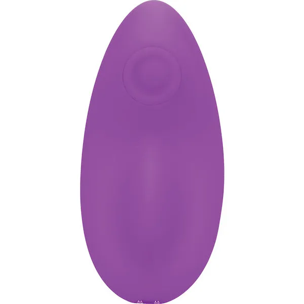 In A Bag Panty Vibe w/Remote - Purple