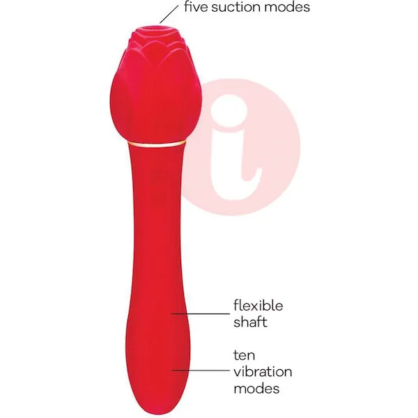 Wild-Rose-and-Vibrator-Red