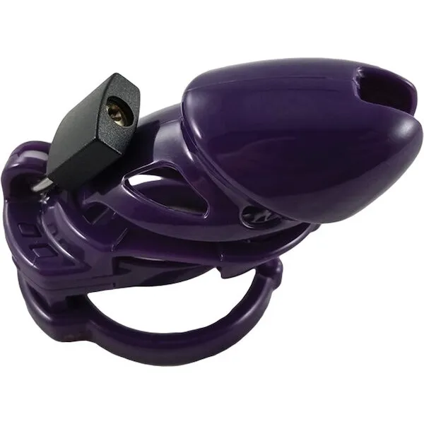 Locked-In-Lust-The-Vice-Standard-Purple