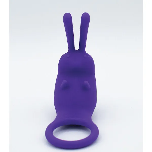 Natalie-and-apos-s-Toy-Box-The-Cock-Hopper-Cock-Ring-and-Bullet-Vibrator-Purple