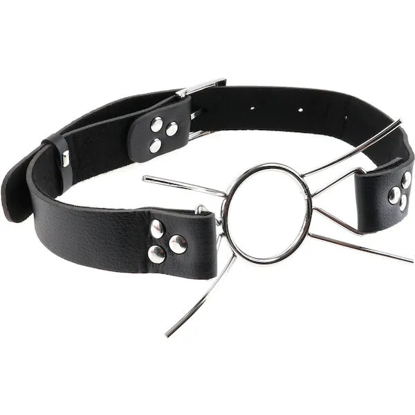 Fetish-Fantasy-Extreme-Spider-Gag