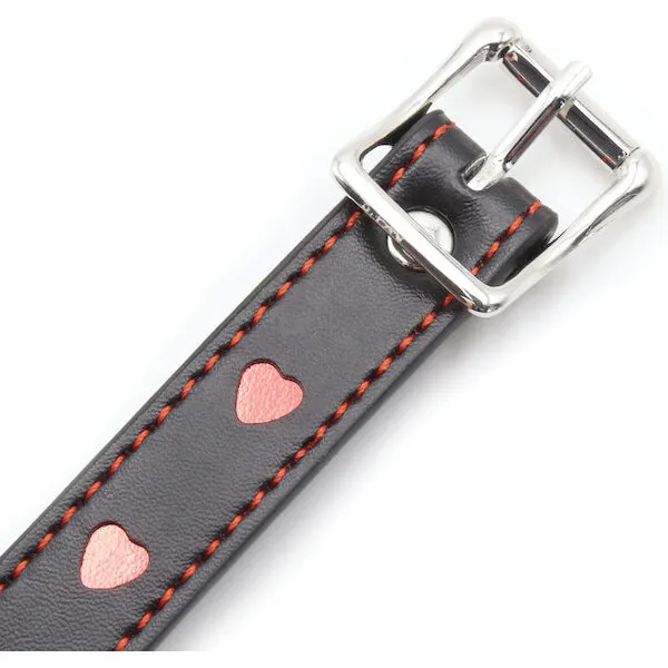 Plesur-Heart-Ball-Gag-w-Red-Hearts-Black
