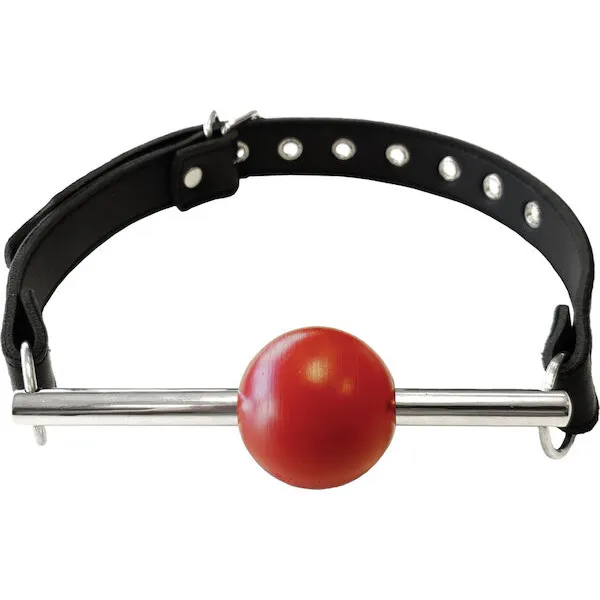 Rouge-Leather-Ball-Gag-with-Stainless-Steel-Rod-and-Removable-Ball-Black-with-Red