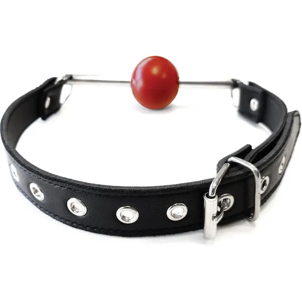 Rouge-Leather-Ball-Gag-with-Stainless-Steel-Rod-and-Removable-Ball-Black-with-Red