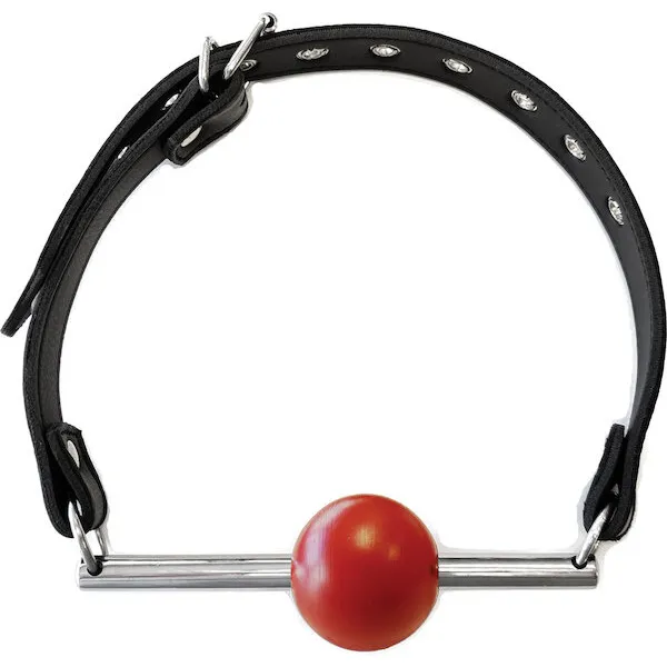 Rouge-Leather-Ball-Gag-with-Stainless-Steel-Rod-and-Removable-Ball-Black-with-Red
