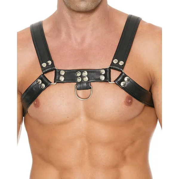 Shots-Uomo-Chest-Bulldog-Harness-Small-Medium-Black