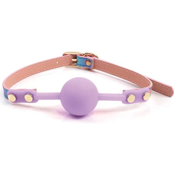 Hello-Sexy-Gag-Order-Iridescent-Rainbow